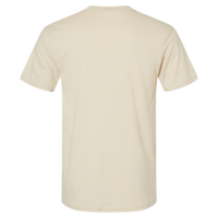 American Apparel Unisex CVC Tee, Heather Bone, Back view