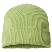 Atlantis Headwear Sustainable Cuffed Beanie, Leaf Green, Back view