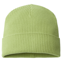 Atlantis Headwear Sustainable Cuffed Beanie, Leaf Green, Front view