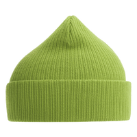 Atlantis Headwear Sustainable Cuffed Beanie, Leaf Green, Left Side view