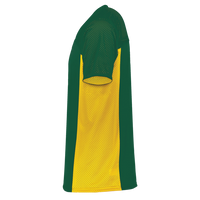 Augusta Sportswear Youth Reversible Flag Football Jersey, Dark Green / Gold, Left Sleeve view