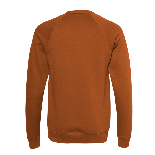 Bella + Canvas Unisex Sponge Fleece Raglan Crewneck Sweatshirt, Autumn / Autumn, Back view