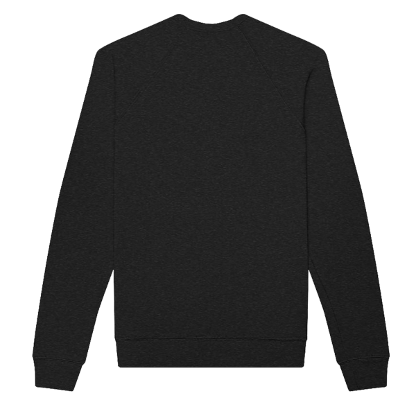 Bella + Canvas Unisex Sponge Fleece Raglan Crewneck Sweatshirt, Black Heather / Black Heather, Back view