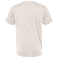 Bella + Canvas Unisex Triblend V-Neck Tee, Oatmeal Triblend, Back view