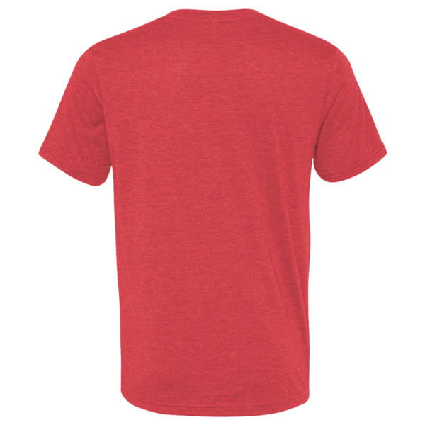 Bella + Canvas Unisex Triblend V-Neck Tee, Red Triblend, Back view