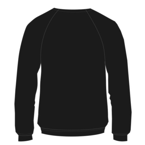 Bella + Canvas Youth Sponge Fleece Crewneck Sweatshirt, Black, Back view