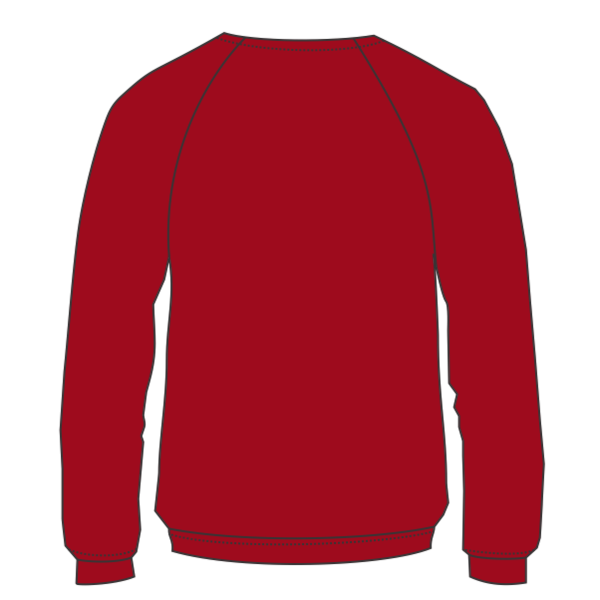Bella + Canvas Youth Sponge Fleece Crewneck Sweatshirt, Red, Back view