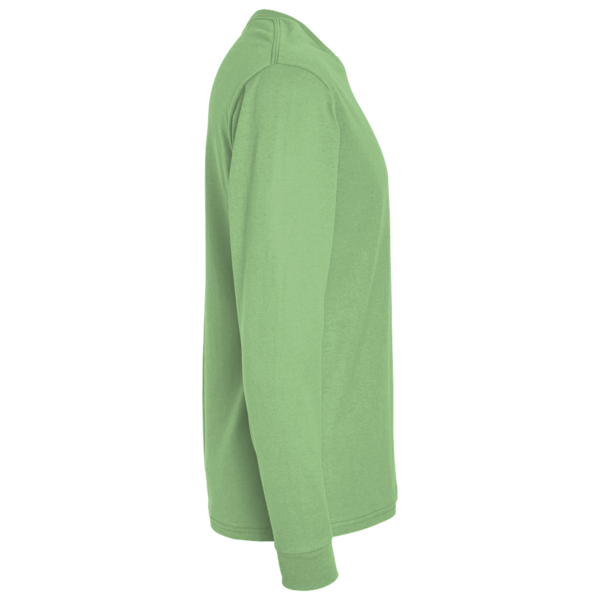 Bella + Canvas Youth Triblend Long Sleeve Tee, Green Triblend, Right Sleeve view