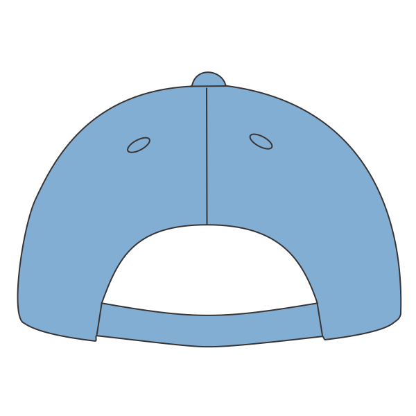 Big Accessories Twill Cap, Carolina Blue, Back view