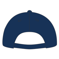 Big Accessories Twill Cap, Navy, Back view