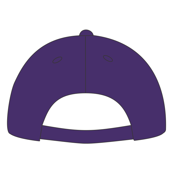 Big Accessories Twill Cap, Purple, Back view