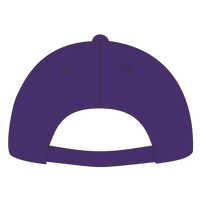 Big Accessories Twill Cap, Purple, Back view