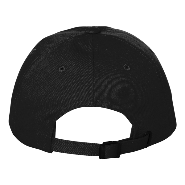 Carhartt Ashland Cap, Black, Back view