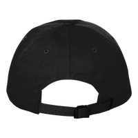 Carhartt Ashland Cap, Black, Back view