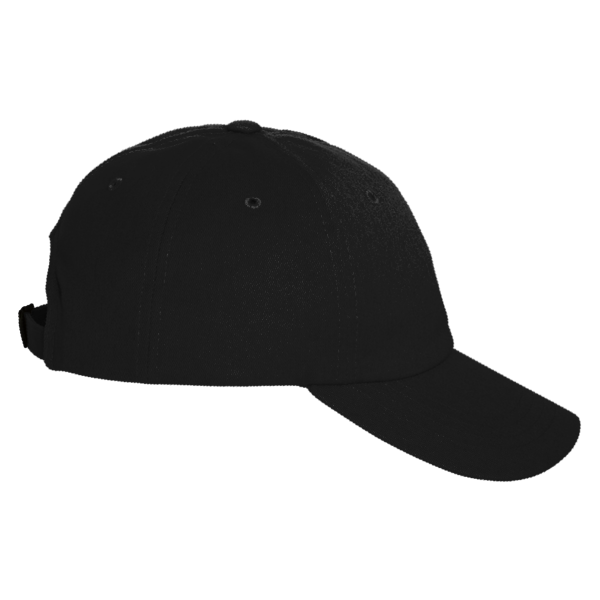 Carhartt Ashland Cap, Black, Right Side view