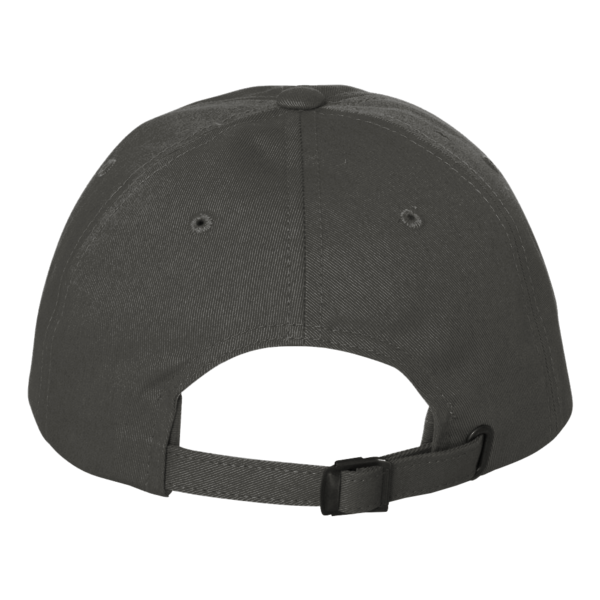 Carhartt Ashland Cap, Gravel, Back view