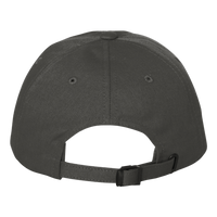 Carhartt Ashland Cap, Gravel, Back view