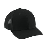 Carhartt Flexfit 110 ® Mesh Back Cap, Black / Black, Right Side view