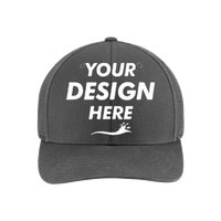 Carhartt Flexfit 110 ® Mesh Back Cap, Shadow Grey / Shadow Grey, Front view, Mockup
