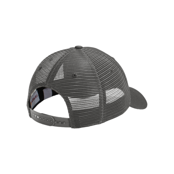Carhartt Rugged Professional Series Cap, Shadow Grey, Back view