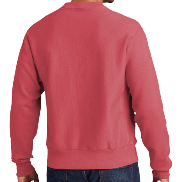 Champion Reverse Weave ® Garment Dyed Crewneck Sweatshirt, Crimson, Back view