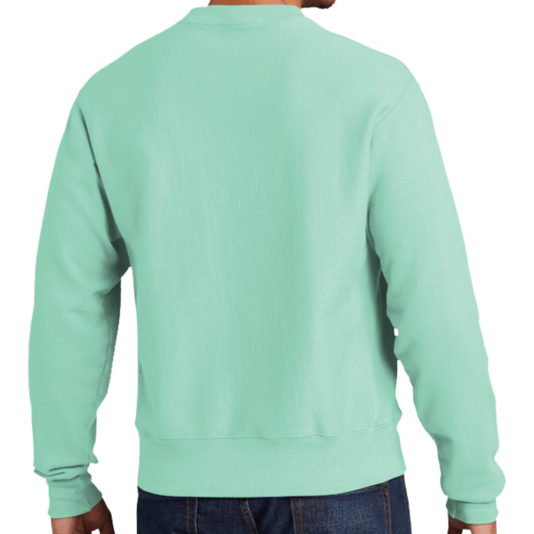 Champion Reverse Weave ® Garment Dyed Crewneck Sweatshirt, Pale Seafoam, Back view