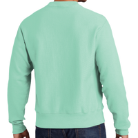 Champion Reverse Weave ® Garment Dyed Crewneck Sweatshirt, Pale Seafoam, Back view