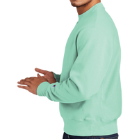 Champion Reverse Weave ® Garment Dyed Crewneck Sweatshirt, Pale Seafoam, Left Sleeve view
