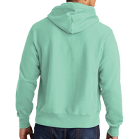 Champion Reverse Weave ® Garment Dyed Hooded Sweatshirt, Pale Seafoam, Back view