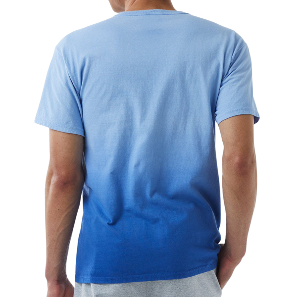 Champion Unisex Classic Jersey Dip Dye T-Shirt, Athletic Royal Ombre, Back view