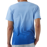 Champion Unisex Classic Jersey Dip Dye T-Shirt, Athletic Royal Ombre, Back view