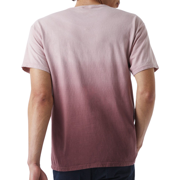Champion Unisex Classic Jersey Dip Dye T-Shirt, Maroon Ombre, Back view