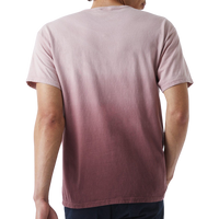 Champion Unisex Classic Jersey Dip Dye T-Shirt, Maroon Ombre, Back view
