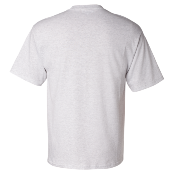 Champion Unisex Classic T-Shirt, Ash, Back view