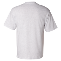 Champion Unisex Classic T-Shirt, Ash, Back view