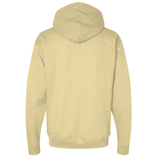 Colortone Unisex Tie-Dyed Hooded Sweatshirt, Funnel Cake, Back view