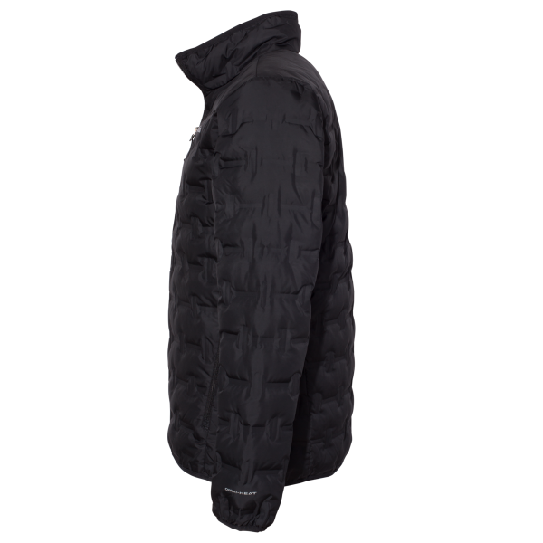Columbia Men's Delta Ridge™ II Down Jacket, Black, Left Sleeve view