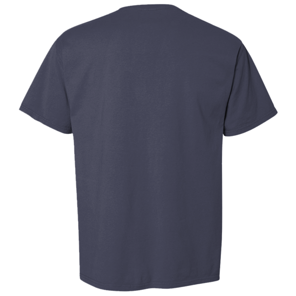ComfortWash by Hanes Men's Garment-Dyed T-Shirt, Anchor Slate, Back view