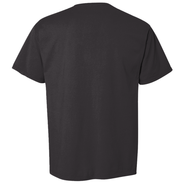 ComfortWash by Hanes Men's Garment-Dyed T-Shirt, Black, Back view