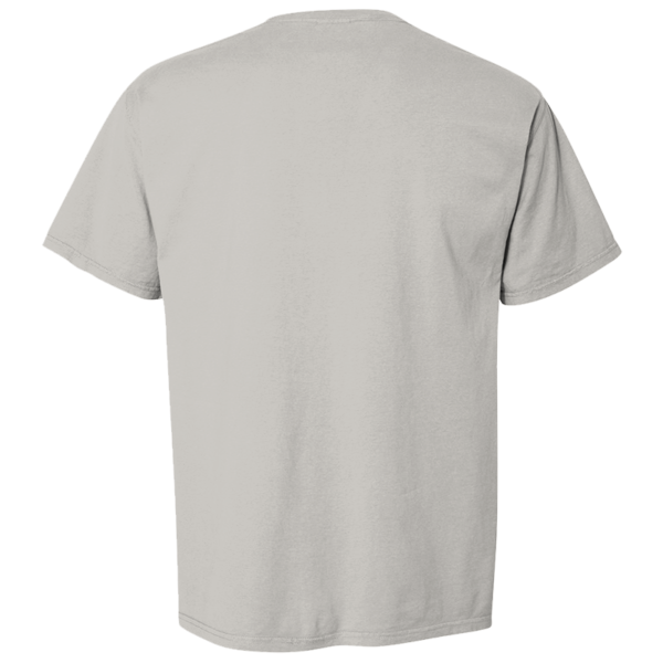 ComfortWash by Hanes Men's Garment-Dyed T-Shirt, Concrete Grey, Back view