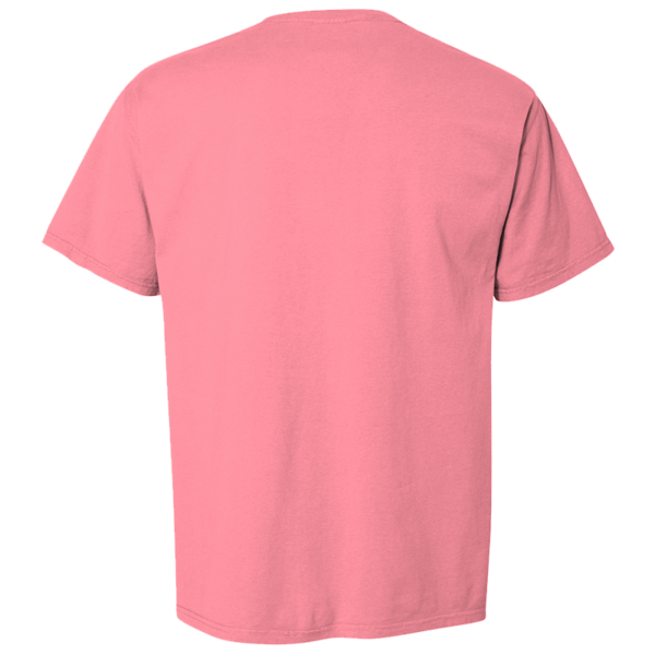 ComfortWash by Hanes Men's Garment-Dyed T-Shirt, Coral Craze, Back view