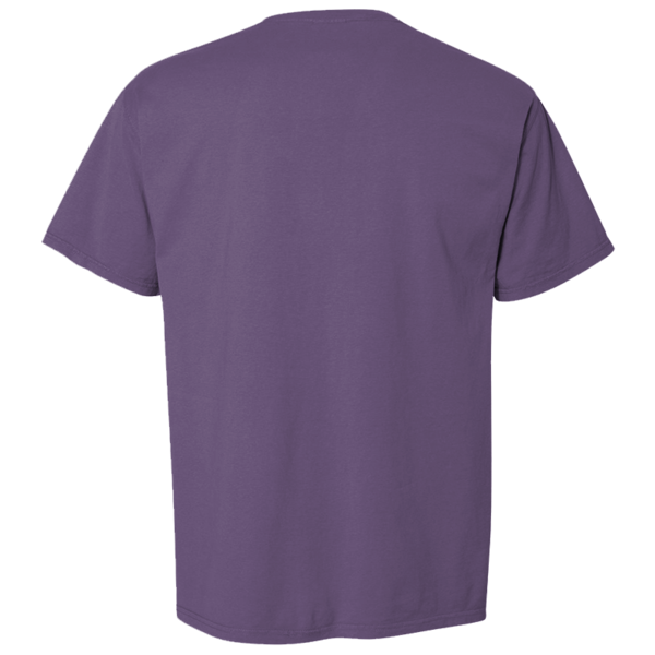 ComfortWash by Hanes Men's Garment-Dyed T-Shirt, Grape Soda, Back view