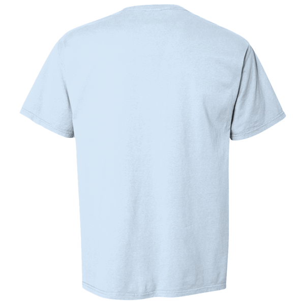 ComfortWash by Hanes Men's Garment-Dyed T-Shirt, Soothing Blue, Back view
