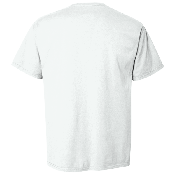ComfortWash by Hanes Men's Garment-Dyed T-Shirt, White, Back view
