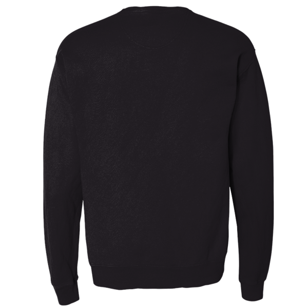 ComfortWash by Hanes Unisex Garment-Dyed Crewneck Sweatshirt, Black, Back view