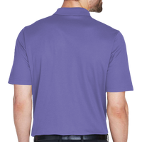 Devon & Jones Men's CrownLux Performance® Plaited Polo, Grape, Back view