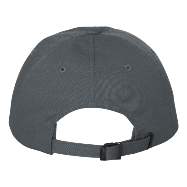 District Distressed Cap, Nickel, Back view