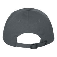 District Distressed Cap, Nickel, Back view