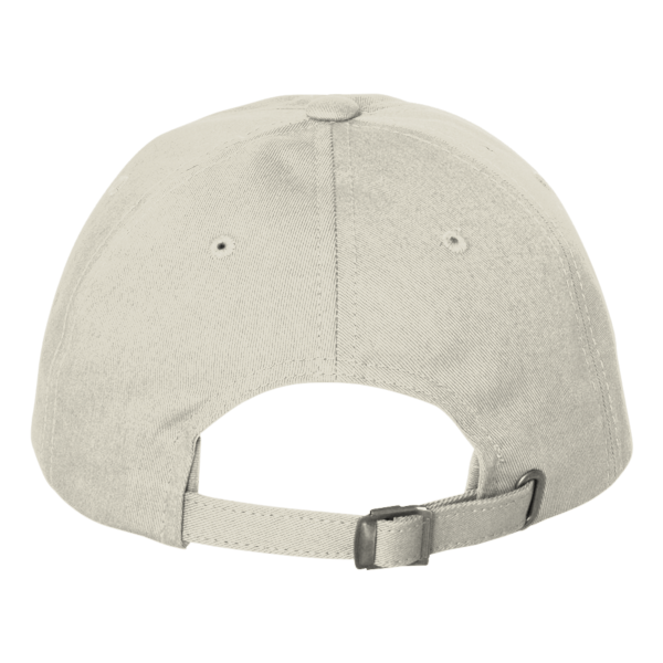 District Distressed Cap, Stone, Back view