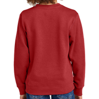 District Youth V.I.T. Fleece Crew, Classic Red, Back view